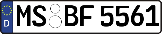 MS-BF5561