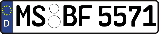 MS-BF5571