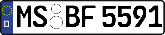 MS-BF5591