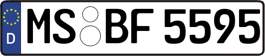 MS-BF5595
