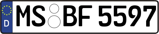 MS-BF5597