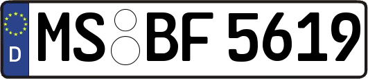 MS-BF5619