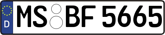 MS-BF5665