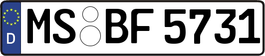 MS-BF5731