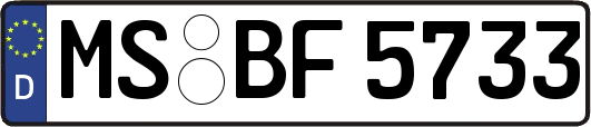 MS-BF5733