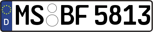 MS-BF5813