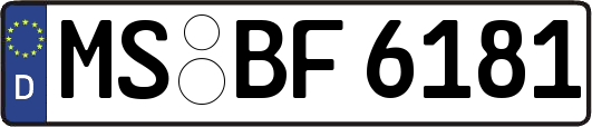 MS-BF6181