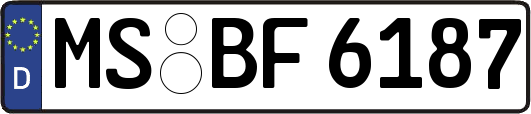 MS-BF6187
