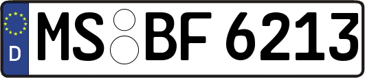 MS-BF6213