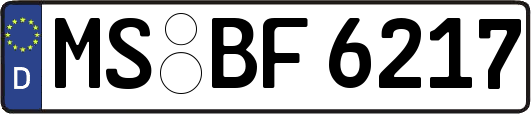 MS-BF6217