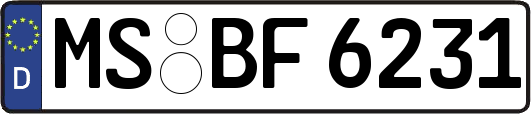 MS-BF6231