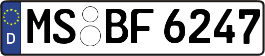 MS-BF6247