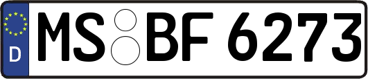 MS-BF6273