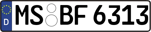 MS-BF6313