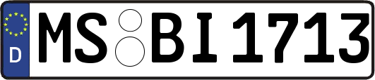 MS-BI1713