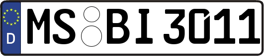 MS-BI3011