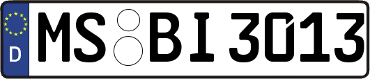 MS-BI3013