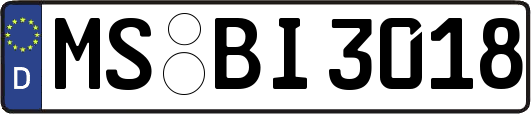 MS-BI3018