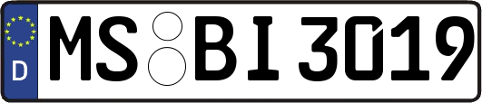 MS-BI3019