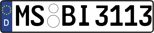 MS-BI3113