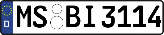 MS-BI3114