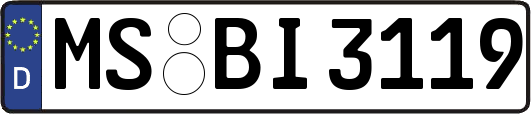 MS-BI3119
