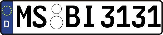 MS-BI3131