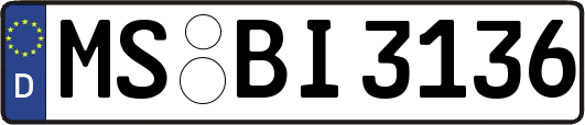 MS-BI3136