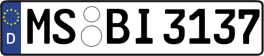 MS-BI3137