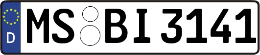 MS-BI3141