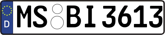 MS-BI3613