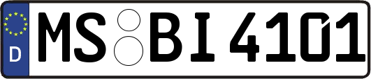 MS-BI4101