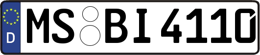 MS-BI4110