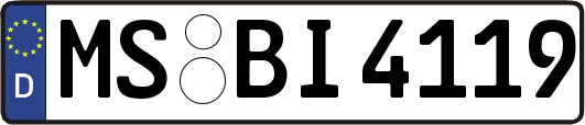 MS-BI4119