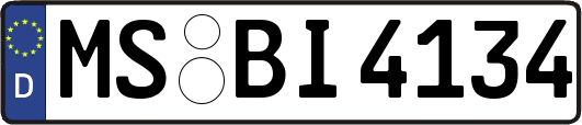 MS-BI4134