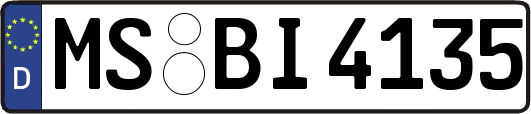 MS-BI4135