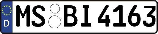 MS-BI4163