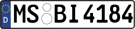 MS-BI4184