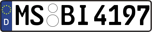 MS-BI4197