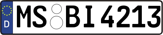 MS-BI4213
