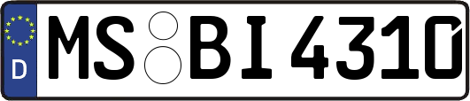 MS-BI4310