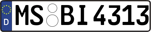 MS-BI4313