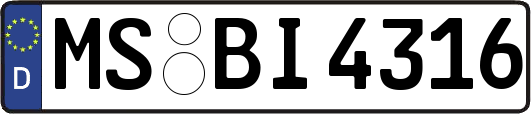 MS-BI4316