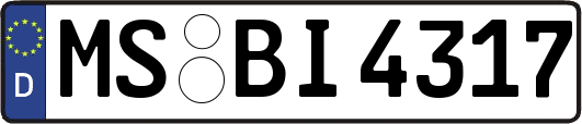 MS-BI4317