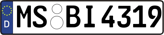 MS-BI4319