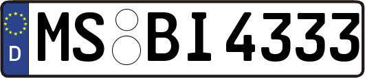 MS-BI4333