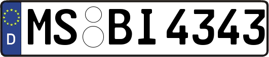 MS-BI4343