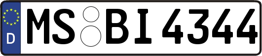 MS-BI4344