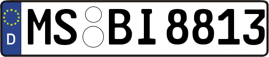 MS-BI8813