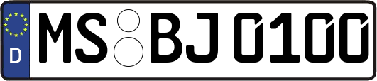 MS-BJ0100